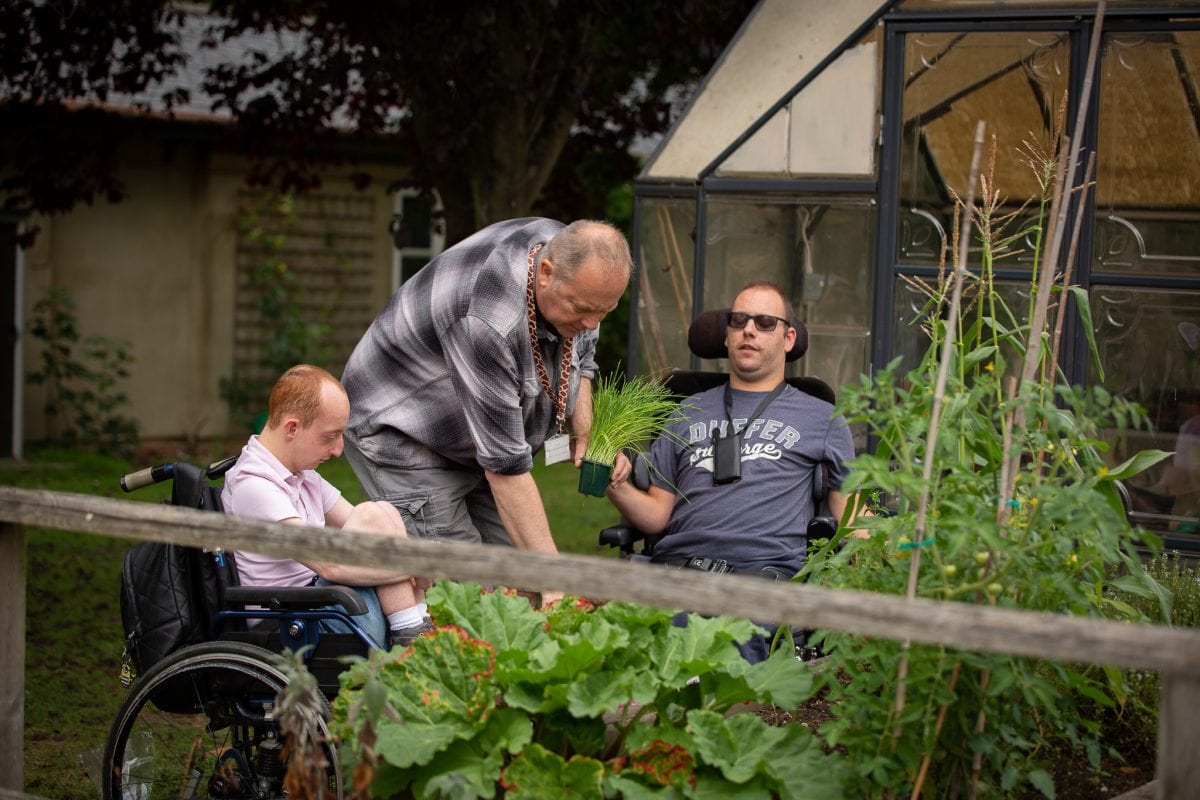 Gardening at Strode Park House