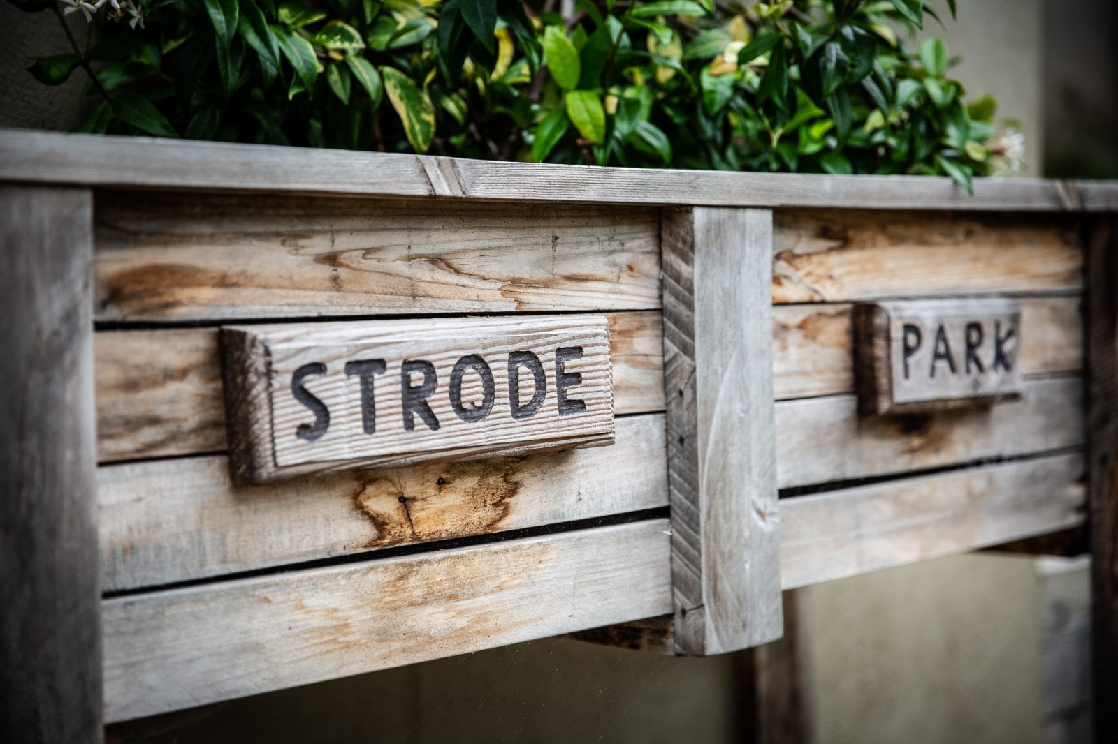 Strode Park planter