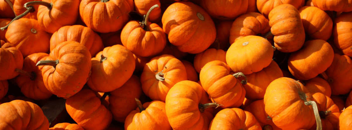 Pumpkins