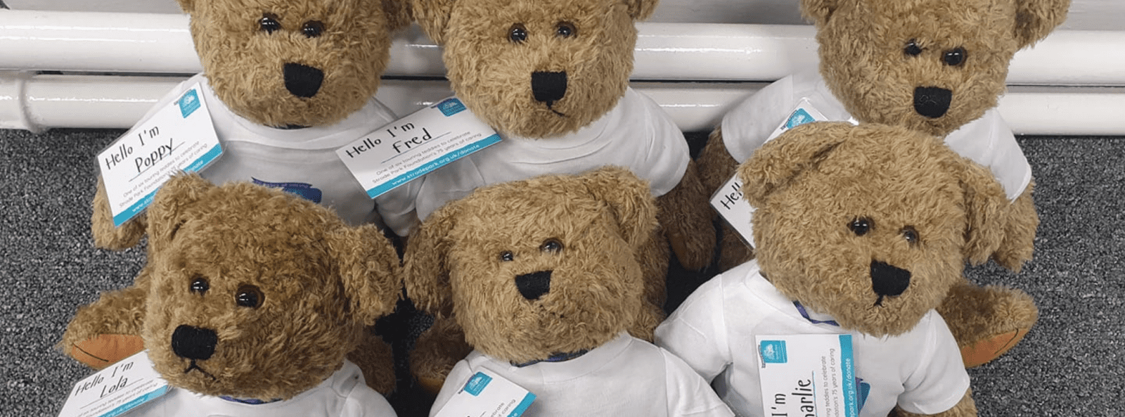 Touring Teddies - Teddy Bear