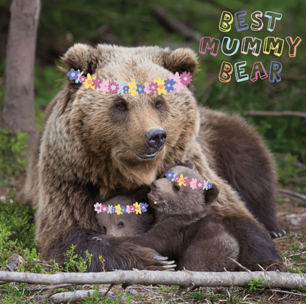 Mother's day card