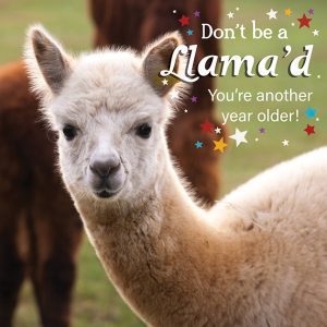 Birthday card