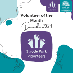 Hand graphic volunteer image