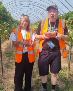 Two people in high vis jackets holding strawberries