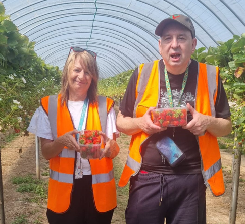 Two people in orange high vis jackets holding strawberries